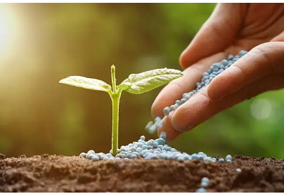 Ảnh chụp màn hình 2025-10-23 001532